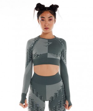Dámské Dlouhým Rukávem Gymshark Wtflex Cyborg Seamless Top Šedé Černé Světle Šedé | 12493-PGKT