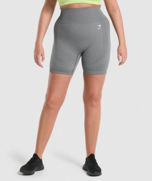 Dámské Kraťasy Gymshark Vital Seamless 2.0 Šedé | 24735-ZWTA
