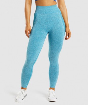 Dámské Legíny Gymshark Flex High Waisted Blankyt | 91835-BUVJ