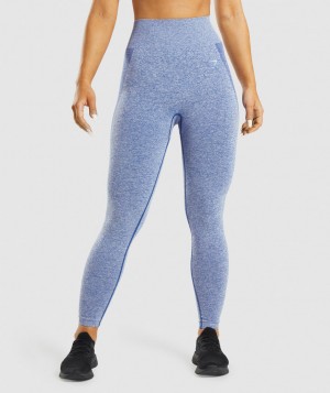 Dámské Legíny Gymshark Flex High Waisted Blankyt | 18237-FIDT