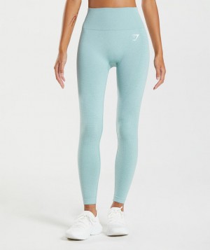 Dámské Legíny Gymshark Vital Seamless 2.0 Blankyt | 95278-IRXM