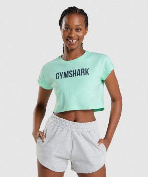 Dámské Oříznuté Topy Gymshark Apollo Top Blankyt | 42678-VXIQ