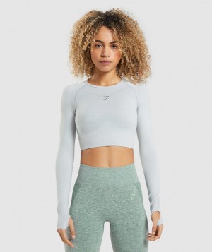 Dámské Oříznuté Topy Gymshark Flex Sports Top Světle Šedé | 06573-QDYG