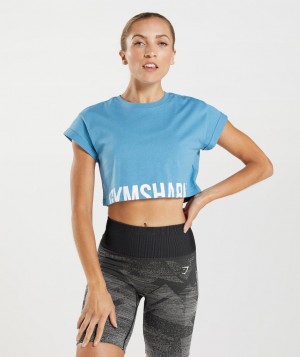 Dámské Oříznuté Topy Gymshark Fraction Top Blankyt | 50493-BCGD
