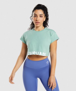 Dámské Oříznuté Topy Gymshark Fraction Top Blankyt | 05317-QLJN