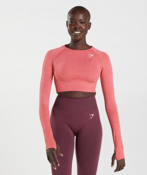 Dámské Oříznuté Topy Gymshark Vital Seamless 2.0 Top Červené | 29018-YJEL