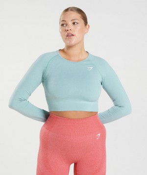 Dámské Oříznuté Topy Gymshark Vital Seamless 2.0 Top Blankyt | 89743-RXOM