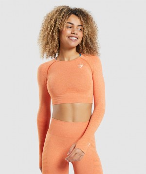 Dámské Oříznuté Topy Gymshark Vital Seamless 2.0 Top Meruňka Oranžové | 04129-CWKM