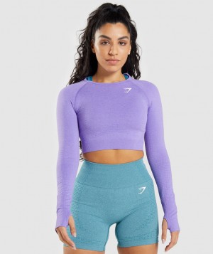 Dámské Oříznuté Topy Gymshark Vital Seamless 2.0 Top Světle Fialové | 91652-PNAG