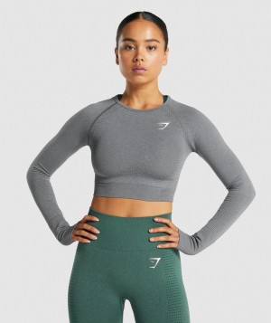 Dámské Oříznuté Topy Gymshark Vital Seamless 2.0 Top Šedé | 85741-GHMS