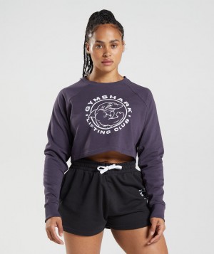 Dámské Pulovr Gymshark Legacyped Sweater Fialové | 65074-ARFY