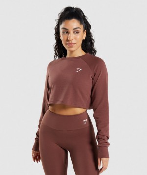 Dámské Pulovr Gymshark Trainingped Sweater Růžové Hnědé | 94853-SQWB