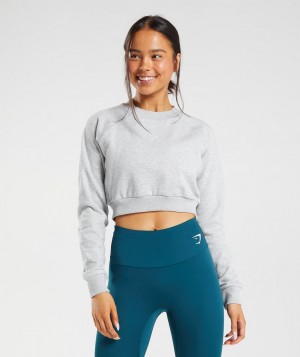 Dámské Pulovr Gymshark Trainingped Sweater Světle Šedé | 02318-RBIE