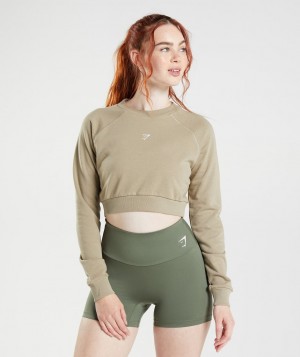Dámské Pulovr Gymshark Trainingped Sweater Hnědé | 16450-WPXZ