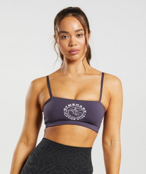 Dámské Sportovní Podprsenka Gymshark Legacy Bandeau Bra Fialové | 82315-DJUE