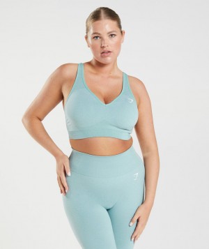 Dámské Sportovní Podprsenka Gymshark Vital Seamless 2.0 V Neck Blankyt | 31256-QNIP