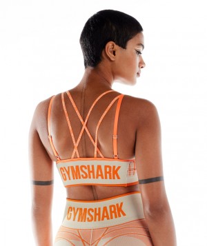 Dámské Sportovní Podprsenka Gymshark Wtflex Linear Seamless Šedé Oranžové Bílé | 71693-ZSJT