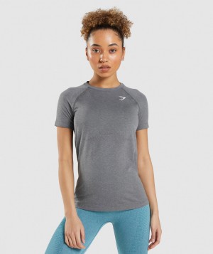 Dámské Tričko Gymshark Vital Seamless 2.0 Light Šedé | 48632-NYGC