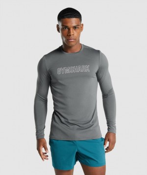 Pánské Dlouhým Rukávem Gymshark Arrival Graphic Šedé | 63218-LZWK