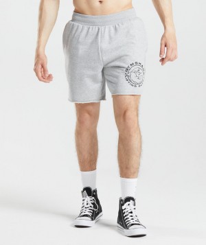 Pánské Kraťasy Gymshark Legacy Světle Šedé | 05786-KNXY