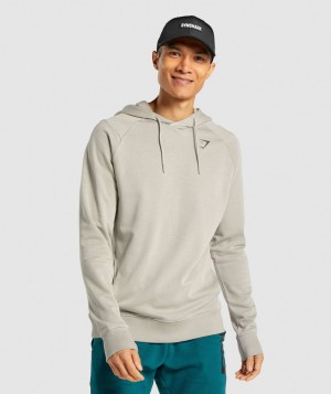 Pánské Mikina s Kapucí Gymshark Bold Šedé | 80236-GYNL