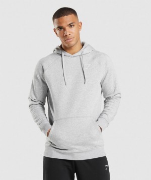 Pánské Mikina s Kapucí Gymshark Crest Světle Šedé | 98106-GBJN