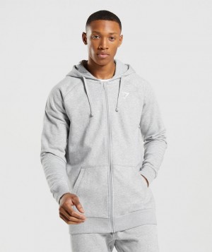 Pánské Mikina s Kapucí Gymshark Crest Zip Up Světle Šedé | 74695-JVMU