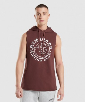 Pánské Mikina s Kapucí Gymshark Legacy Arm Růžové Hnědé | 71084-VLZS