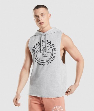 Pánské Mikina s Kapucí Gymshark Legacy Arm Světle Šedé | 07918-HJPU