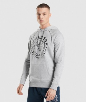 Pánské Mikina s Kapucí Gymshark Legacy Světle Šedé | 14735-ROIK