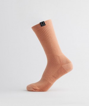 Pánské Ponožky Gymshark Whitney Tab Crew 1pk Béžový | 79820-LNMY