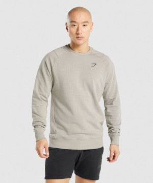Pánské Pulovr Gymshark Bold Crew Šedé | 63710-XPVH