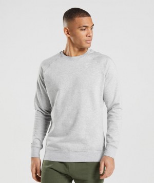 Pánské Pulovr Gymshark Crest Sweatshirt Světle Šedé | 24607-FROC