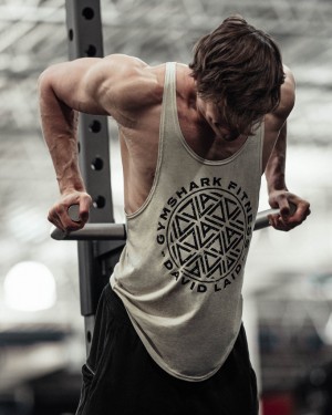 Pánské Stringer Gymshark GS x David Laid Šedé | 30486-TIEX