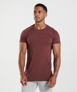 Pánské Tričko Gymshark 315 Seamless Růžové Hnědé | 26974-WAHP