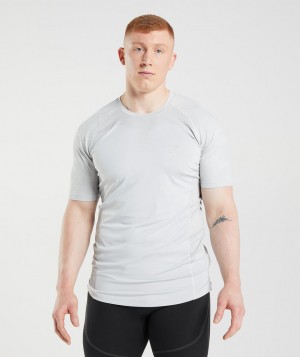 Pánské Tričko Gymshark 315 Světle Šedé | 37524-ABML