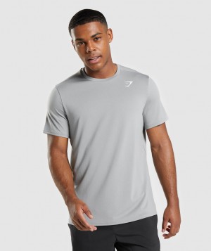 Pánské Tričko Gymshark Arrival Regular Fit Šedé | 60479-ZPKC