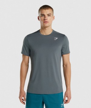 Pánské Tričko Gymshark Arrival Regular Fit Šedé | 04296-MVLK