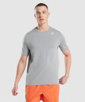 Pánské Tričko Gymshark Arrival Seamless Šedé | 54289-ZKVX