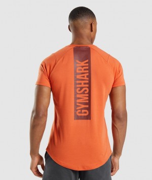 Pánské Tričko Gymshark Bold Oranžové | 09541-GOTK