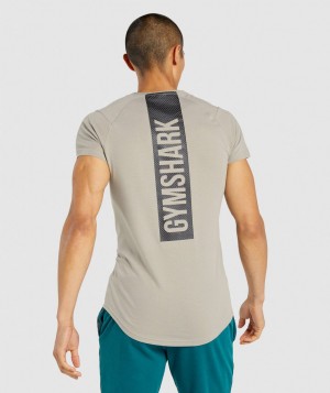 Pánské Tričko Gymshark Bold Šedé | 28746-GEBX