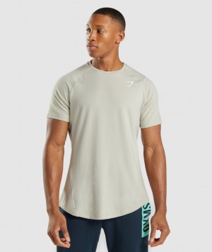 Pánské Tričko Gymshark Bold Šedé | 41695-EFOY