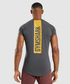 Pánské Tričko Gymshark Bold Černé Šedé | 48203-OUBC