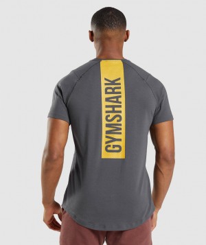 Pánské Tričko Gymshark Bold Černé Šedé | 93164-JBZQ