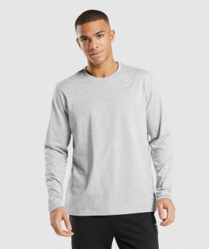 Pánské Tričko Gymshark Crest Světle Šedé | 30987-IOZD