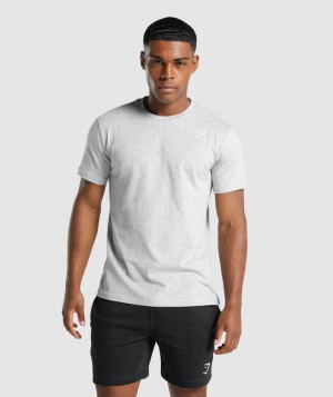 Pánské Tričko Gymshark Crest Světle Šedé | 51960-VFZD