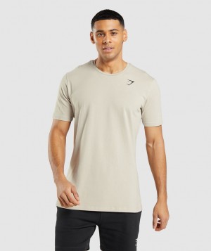 Pánské Tričko Gymshark Essential Šedé | 20865-HIPN