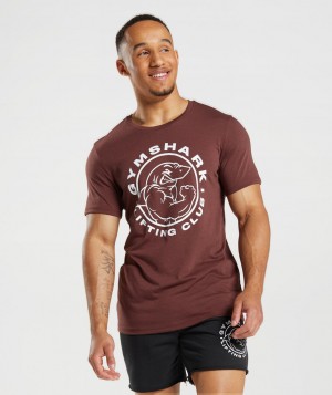 Pánské Tričko Gymshark Legacy Růžové Hnědé | 98235-HRFP
