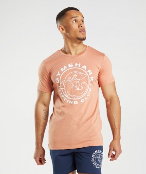 Pánské Tričko Gymshark Legacy Růžové | 29651-FPGV
