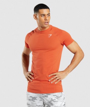 Pánské Tričko Gymshark Vital Light Seamless Oranžové | 32698-NIOB